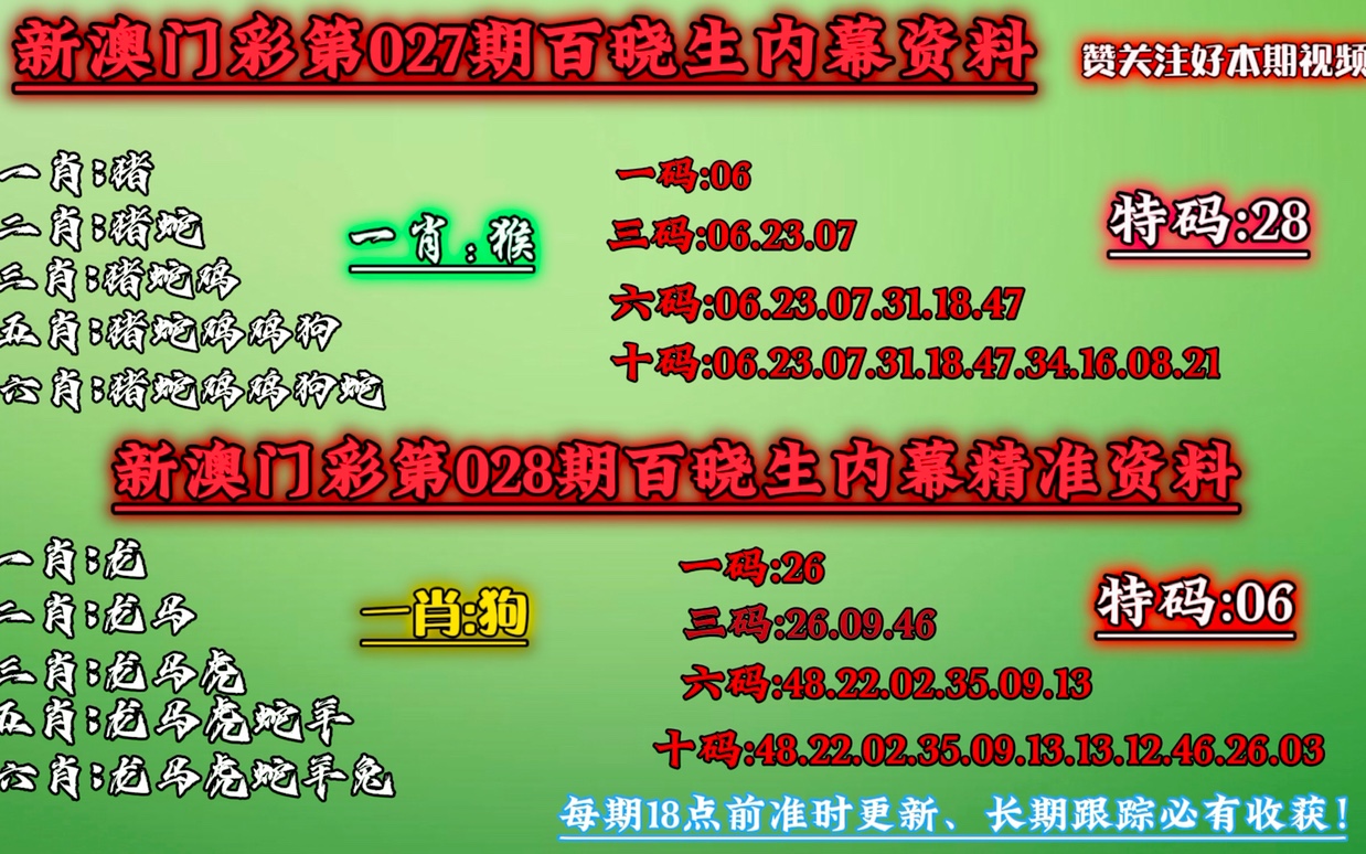 澳门今晚必中一肖一码查询,精选解释解析落实