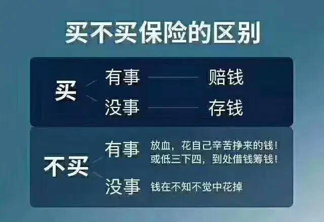 今期新澳门三肖三码100%精准,最佳精选解释落实