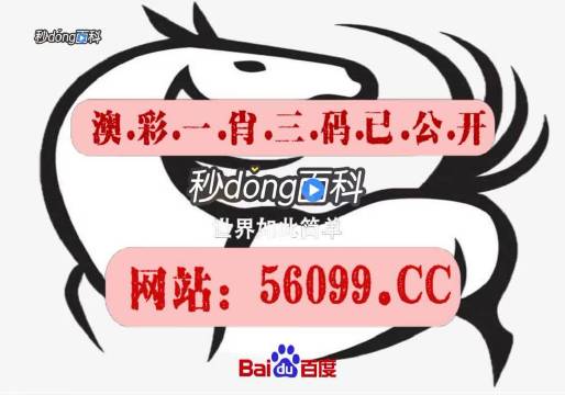 澳门王中王三中三资料揭秘,最佳精选解释落实