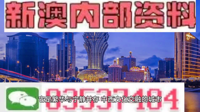 新澳内部一码精准公开,新澳内部一码精准公开的深度解析