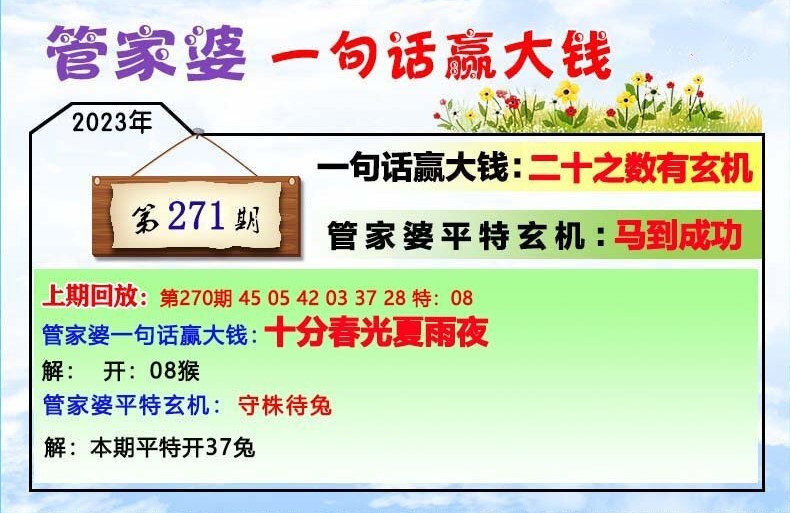 管家婆一肖一码100中,管家婆一肖一码100中的奥秘与智慧