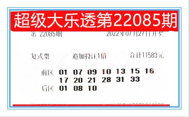 澳门今晚必开一肖期期,理性看待彩票游戏——以澳门今晚必开一肖期期为例