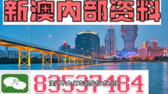 2025新澳门免费资料观看,探索2025年新澳门免费资料观看的奥秘