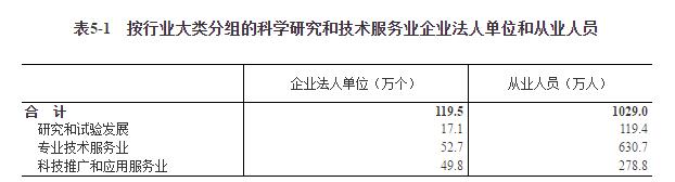 二四六天天彩资料大全2013年,二四六天天彩资料大全，2013年回顾与解析