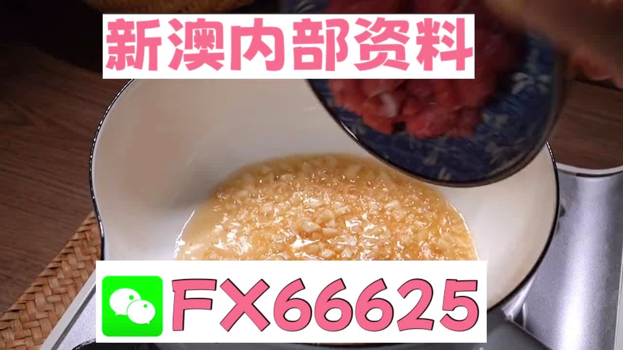 新澳门精准5码中特,新澳门精准5码中特，揭秘与解析